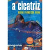 Discount Suma De Letras A Cicatriz de Maria Francisca Gama