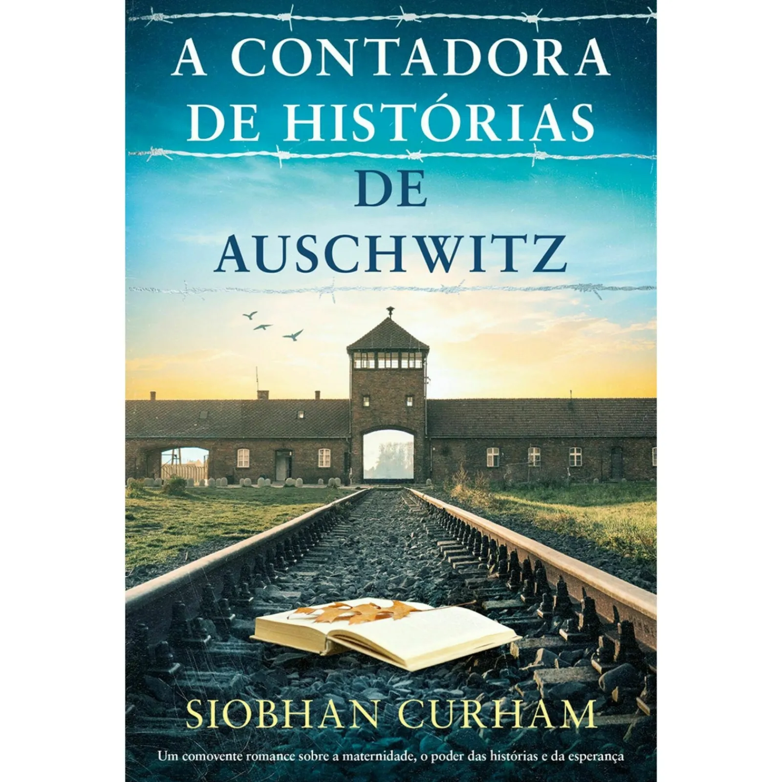Singular A Contadora de Histórias de Auschwitz de Siobhan Curham