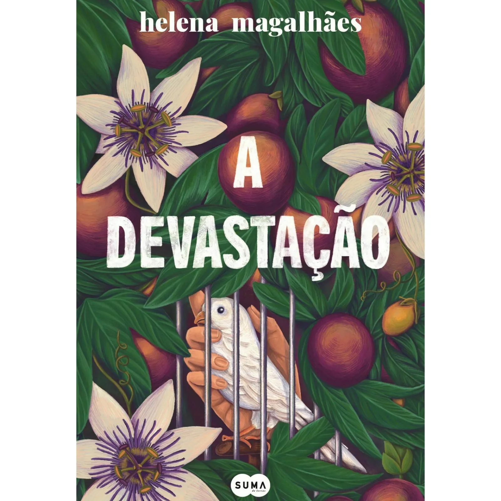 Suma A Devastação de Helena Magalhães