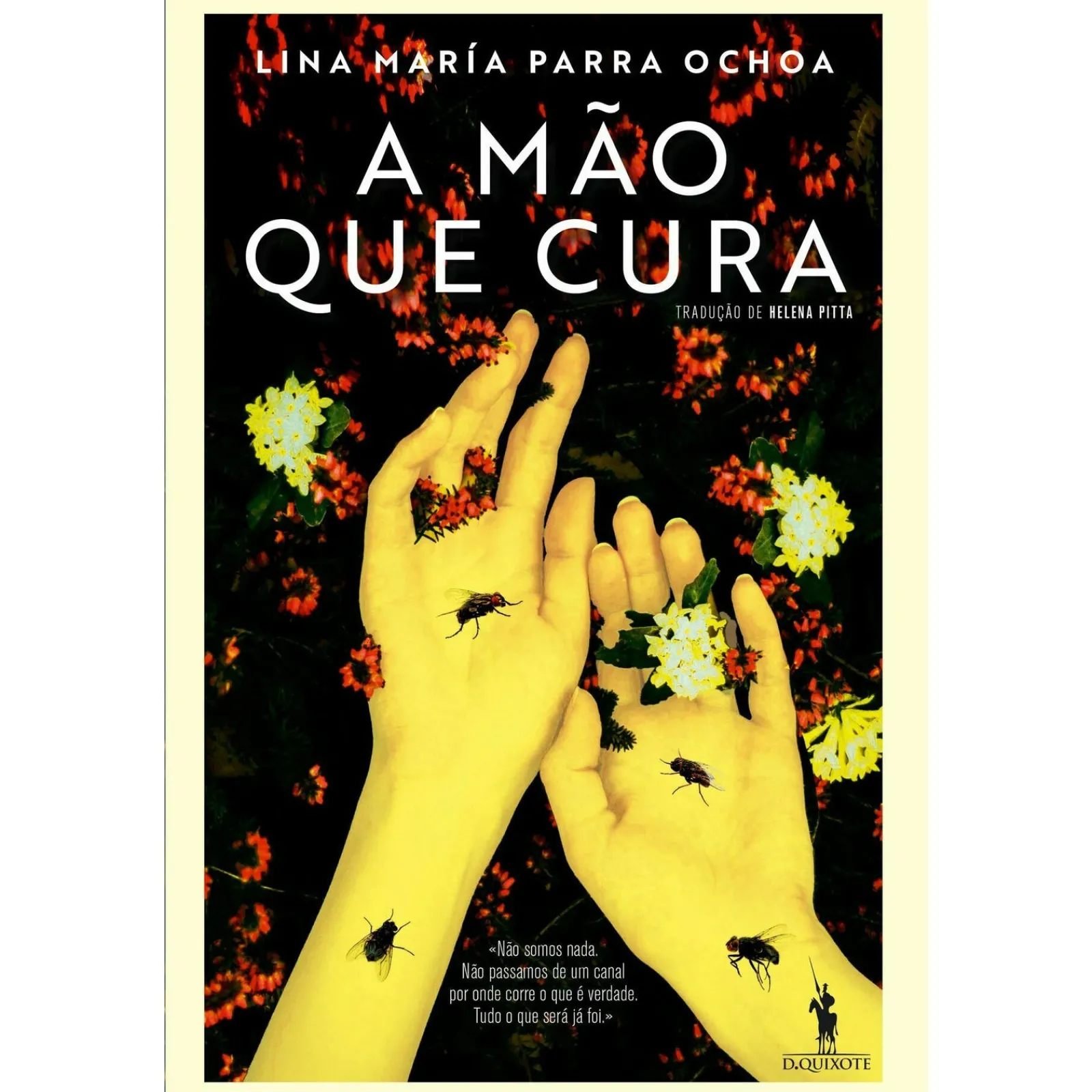 Dom Quixote A Mão que Cura de Lina María Parra Ochoa