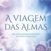 Albatroz A Viagem das Almas de Michael Newton