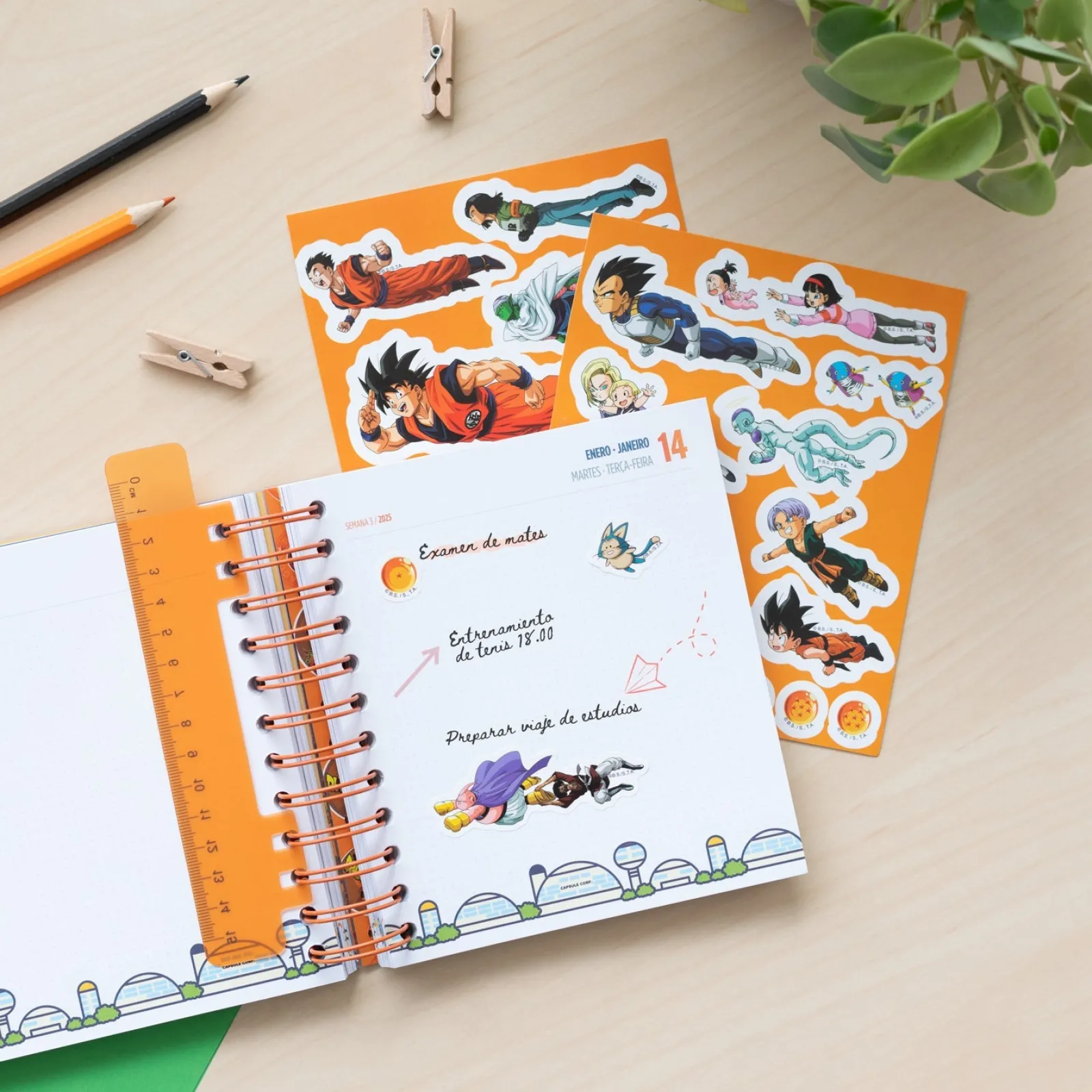 Grupo Erik Agenda 24/25 Diária - Dragon Ball