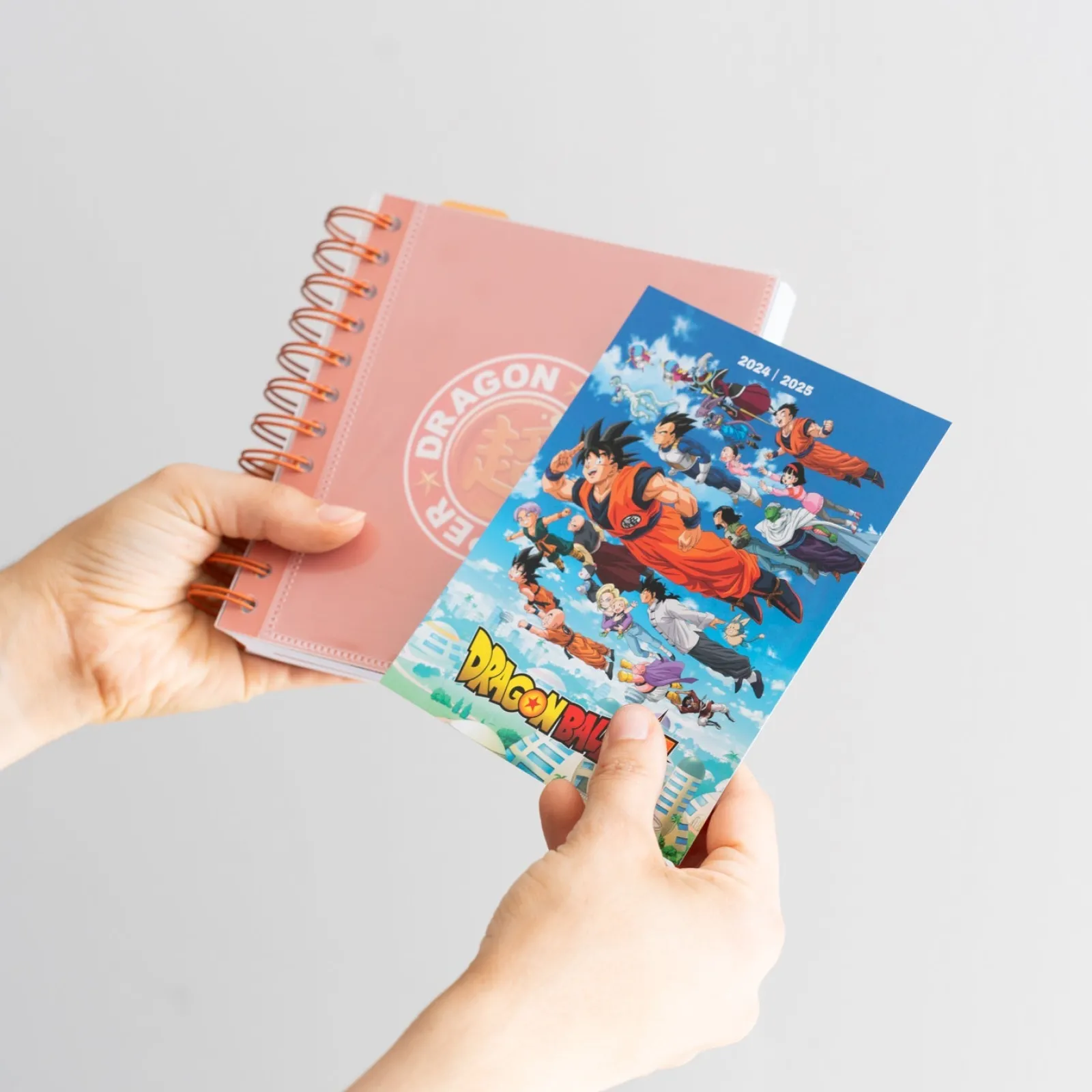 Grupo Erik Agenda 24/25 Diária - Dragon Ball