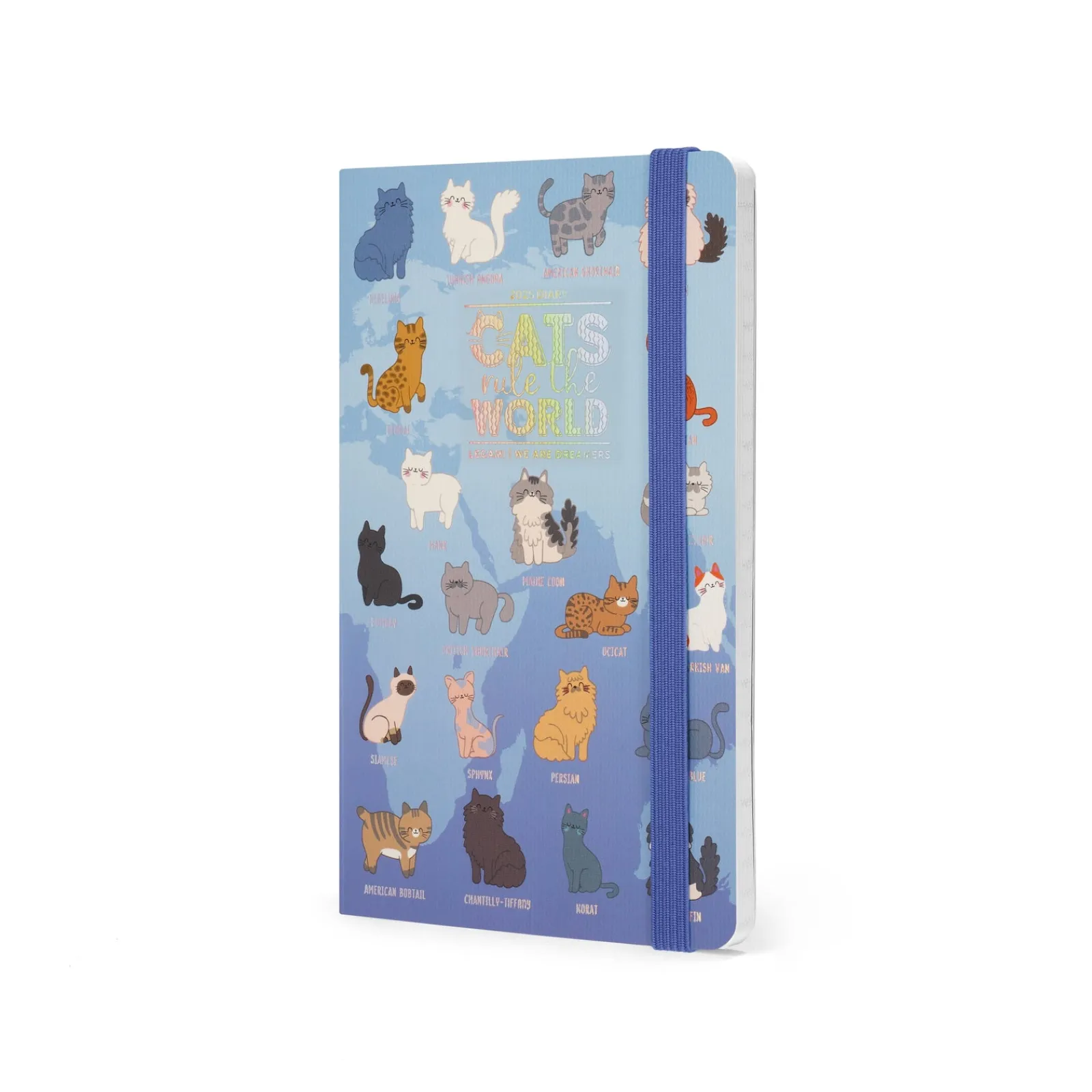 Discount Legami Agenda 2025 Semanal Média - Kitty