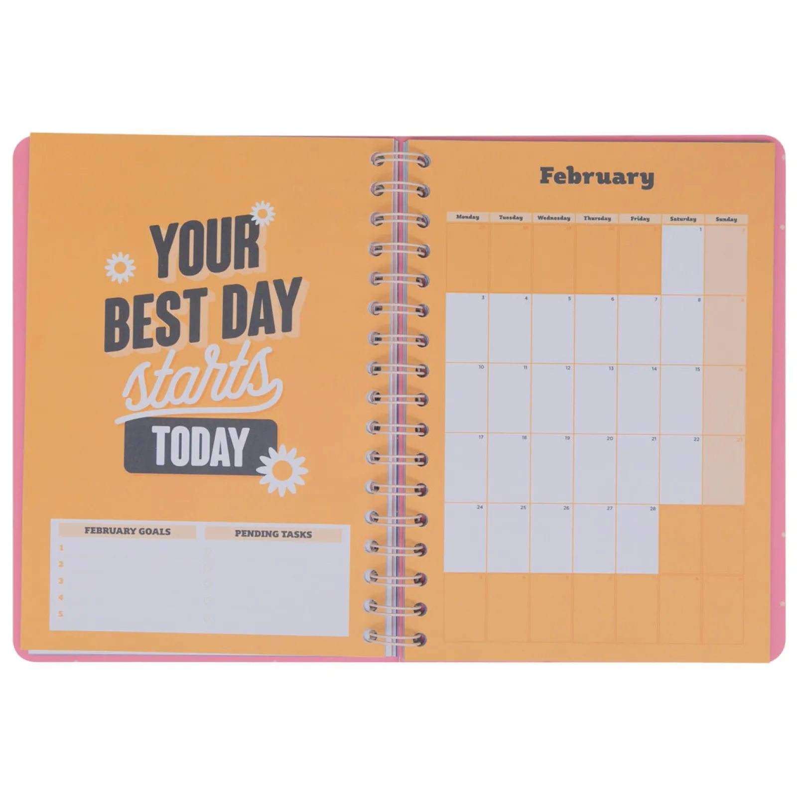 Mr. Wonderful Agenda Basic 24/25 Semanal Grande - Small Steps