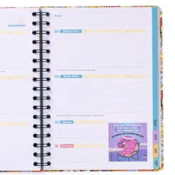 Hot Mr Wonderfull Agenda Bo-Bo 25-26 Semanal - Risos Tolices