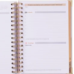 Mr Wonderfull Agenda Office 25-26 Diária -Vida É Agora