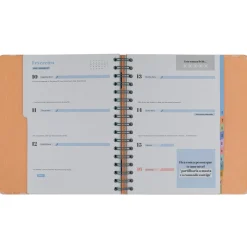 Mr. Wonderful Agenda Office 24/25 Semanal - Vai Correr Tudo Melhor que Bem