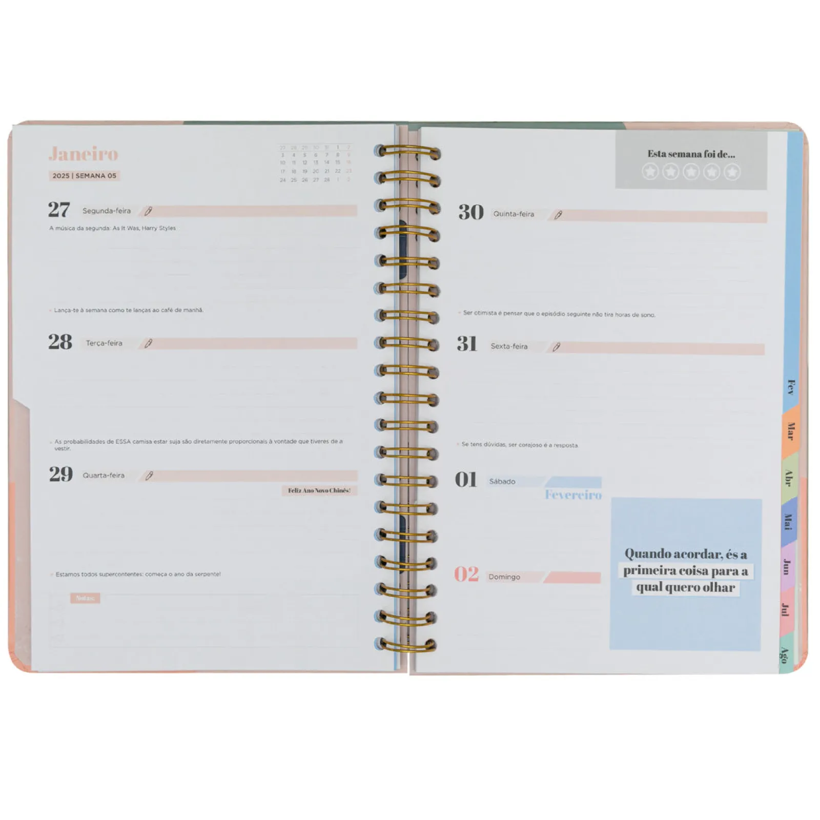 Outlet Mr. Wonderful Agenda Office 24/25 Semanal Extra Grande - Sonha em Grande e Disfruta em Gigante