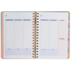 Mr. Wonderful Agenda Office 24/25 Semanal Grande - Muitas Conquistas para Celebrar