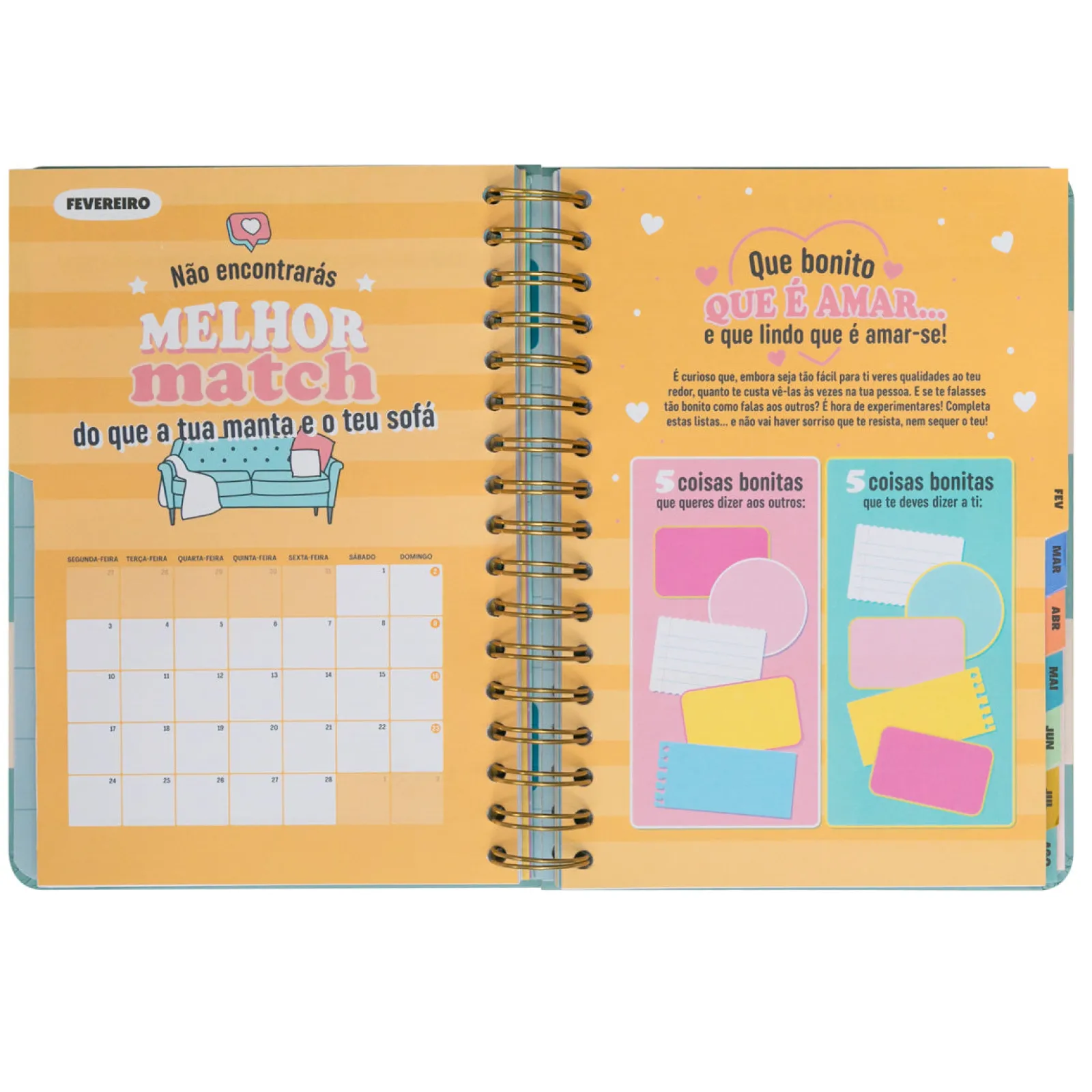 Mr. Wonderful Agenda Wonder 24/25 Dia Grande - O Melhor De Cada Dia