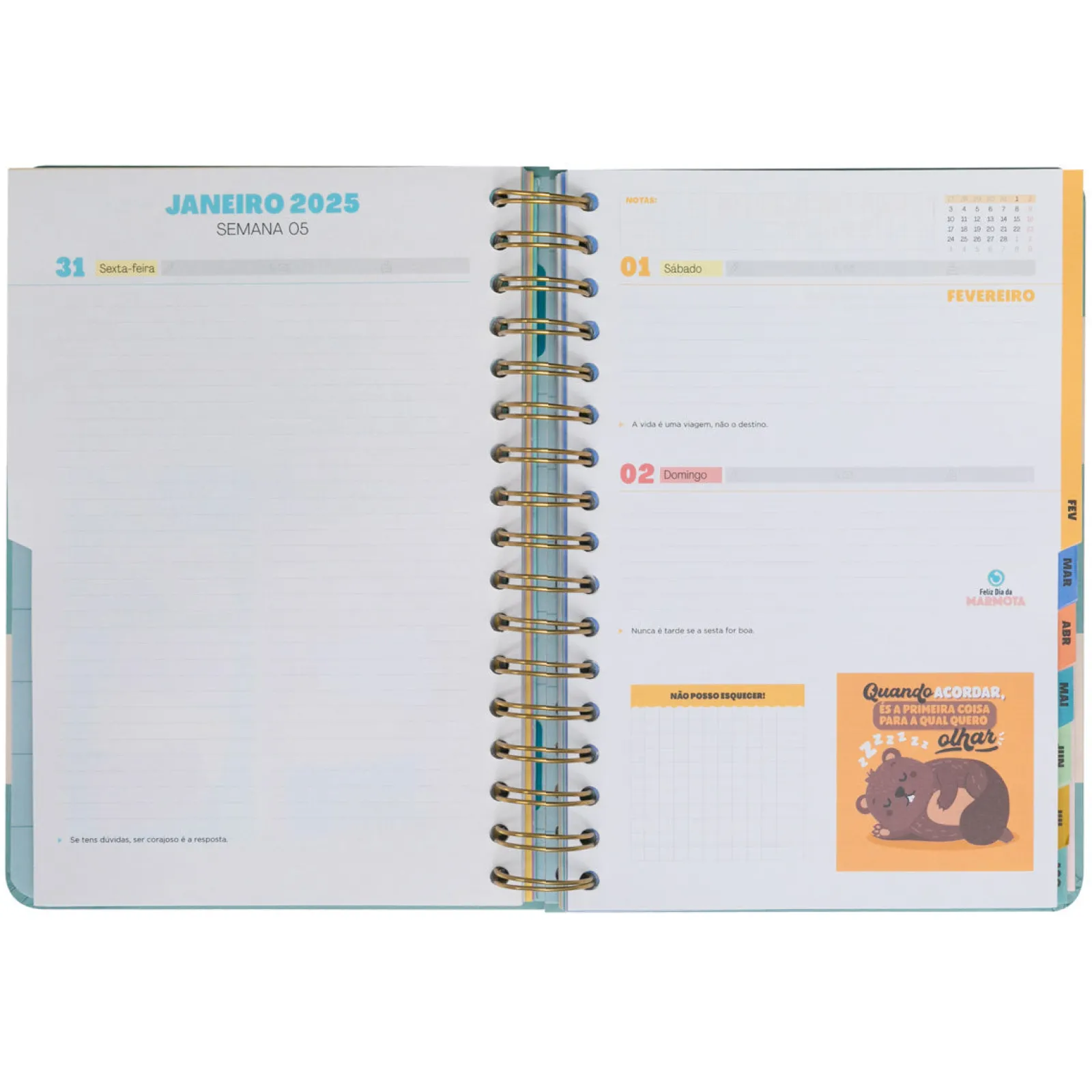 Mr. Wonderful Agenda Wonder 24/25 Dia Grande - O Melhor De Cada Dia