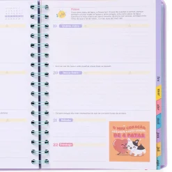 Mr Wonderfull Agenda Wonder 25-26 Semanal - Algo Mágico