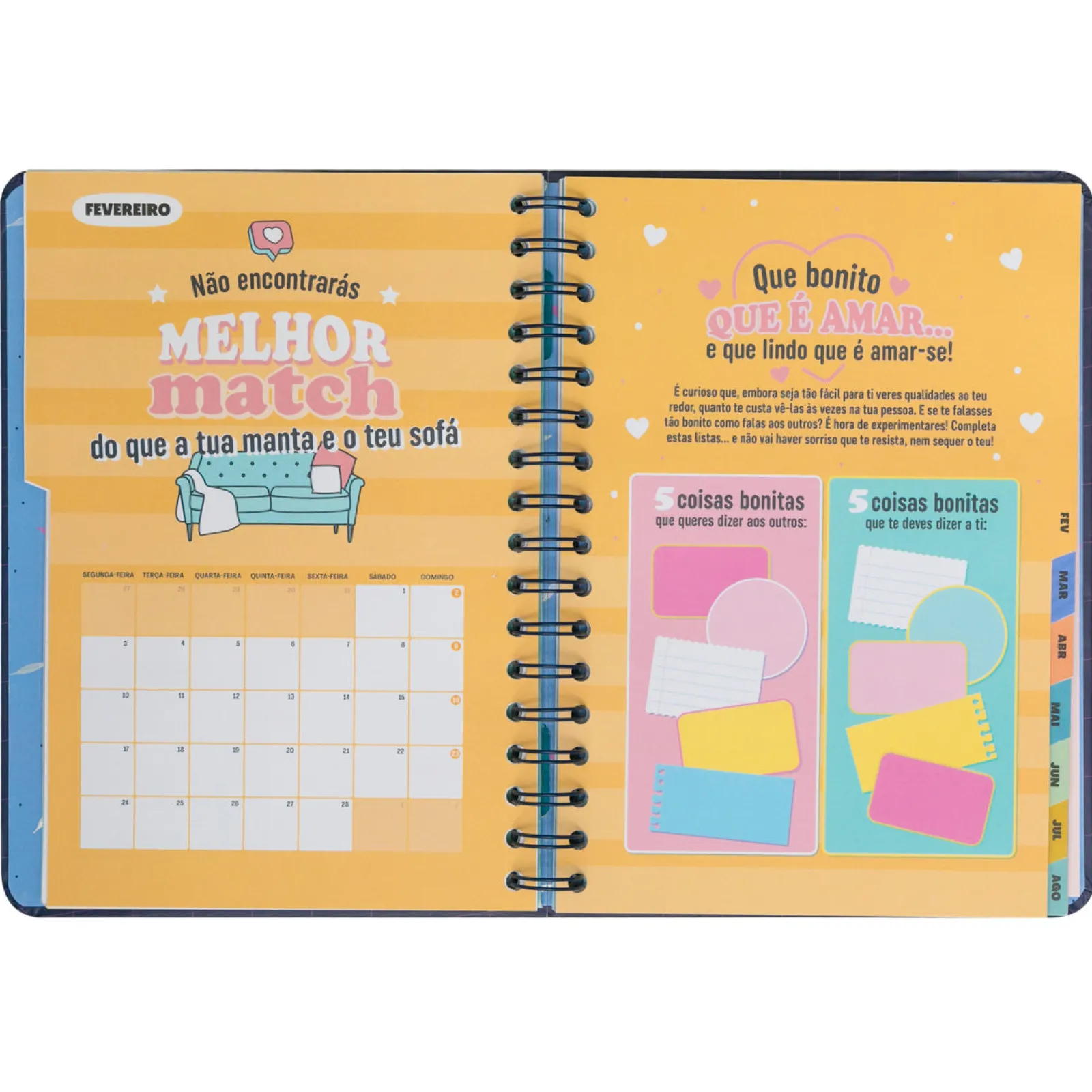 Best Mr. Wonderful Agenda Wonder 24/25 Semanal Grande - Planos Que Prometem, Sonhos que Acontecem