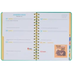 Mr. Wonderful Agenda Wonder 24/25 Semanal Grande - Ready Para Celebrar Tudo o que Vou Alcançar