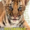 Jacarandá Animais Selvagens - Toca e Brilha