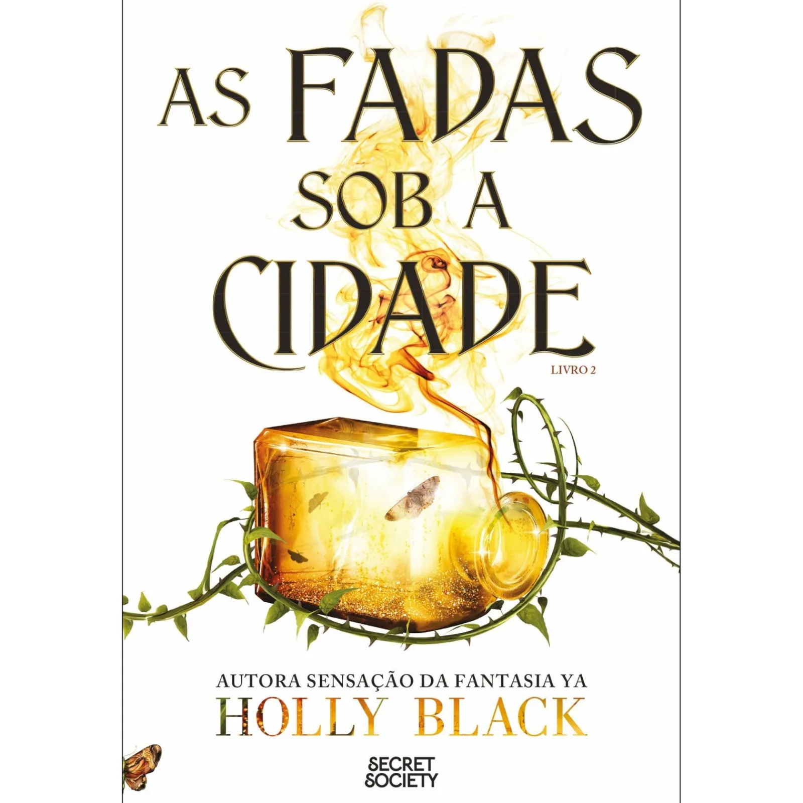 Discount Secret Society As Fadas Sob A Cidade de Holly Black
