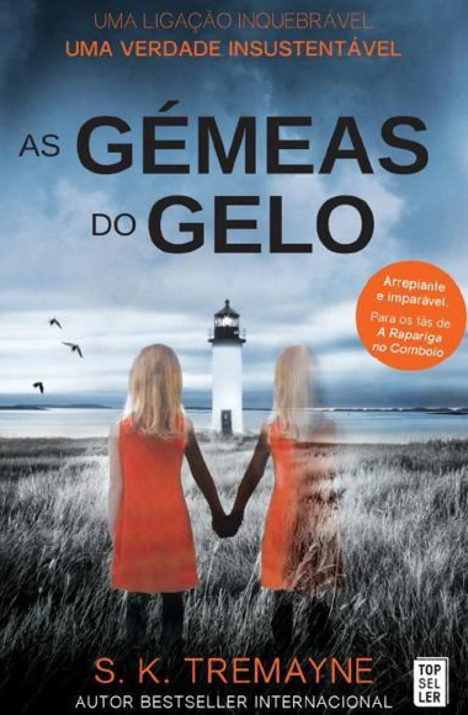 Outlet Topseller As Gémeas do Gelo de S. K. Tremayne - (4ª Edição)