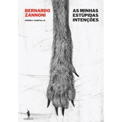 Dom Quixote As Minhas Estúpidas Intenções de Bernardo Zannoni