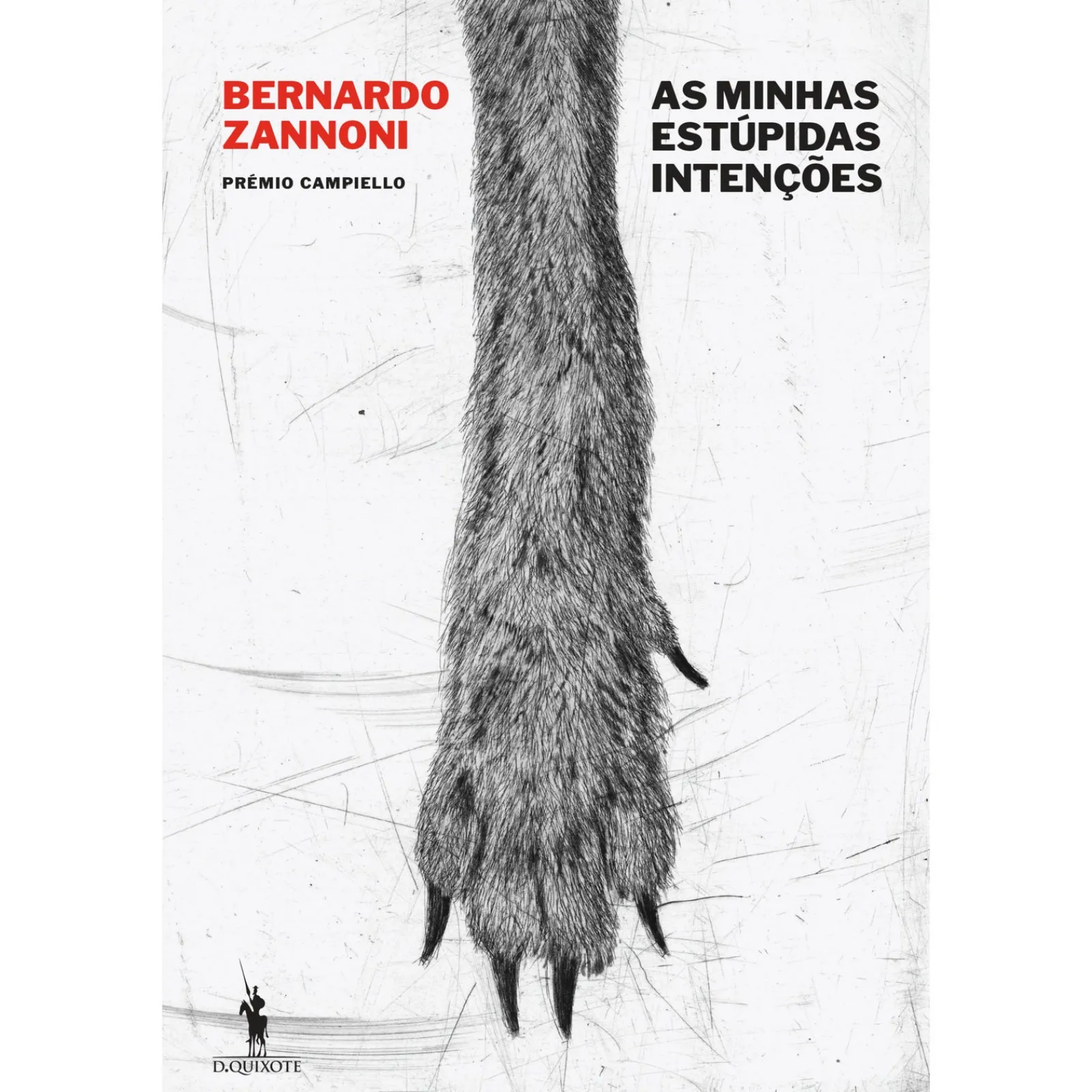 Dom Quixote As Minhas Estúpidas Intenções de Bernardo Zannoni