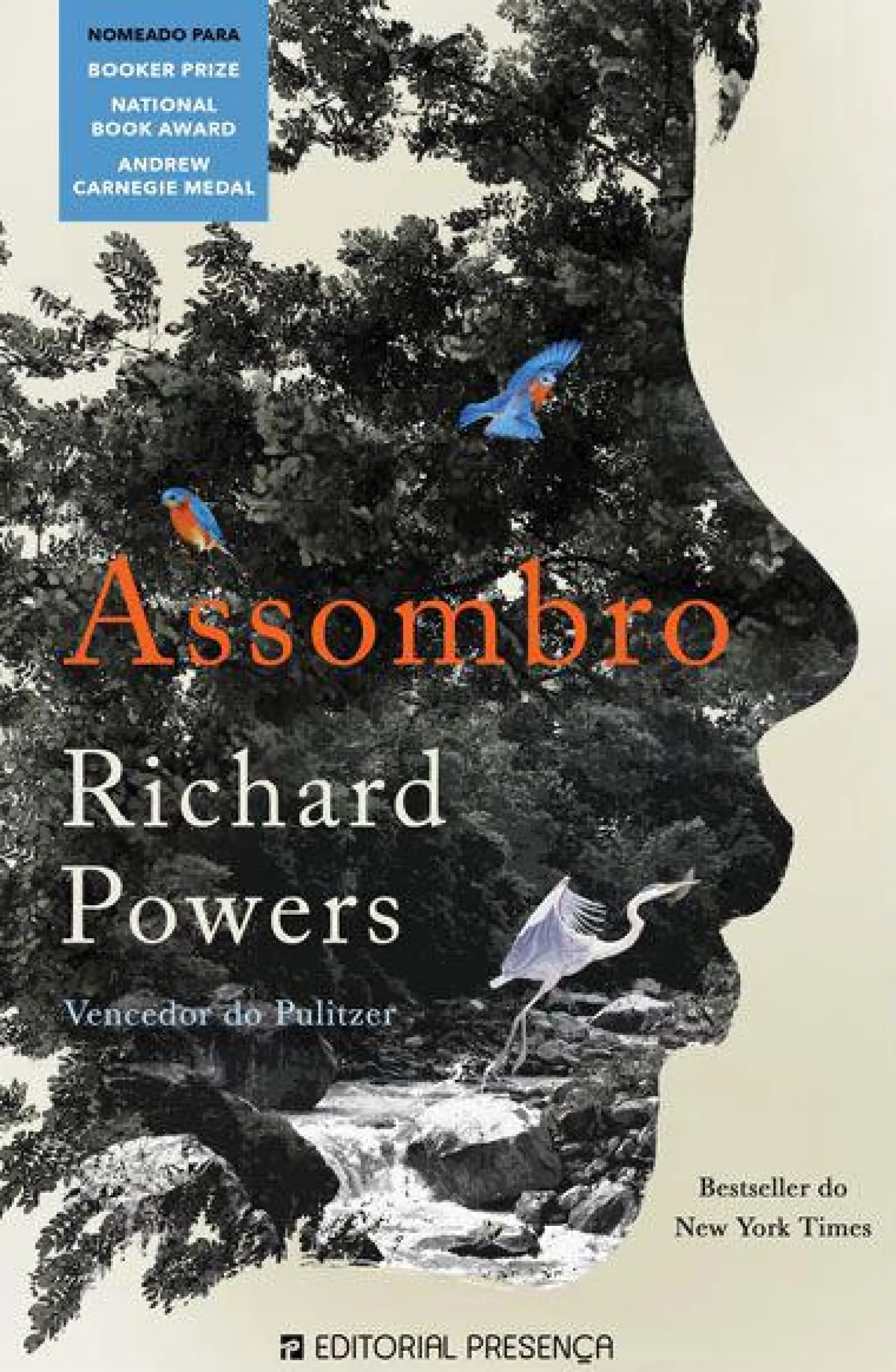Presença Assombro de Richard Powers