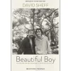 Editorial Presença Beautiful Boy de David Sheff
