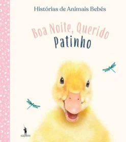 Dom Quixote Boa Noite, Querido Patinho de Vários Autores