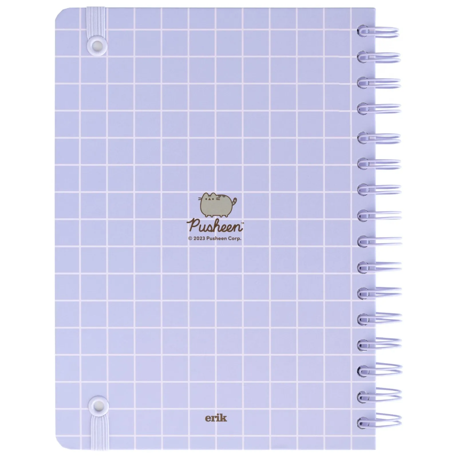 Pusheen Caderno A5 - Moments