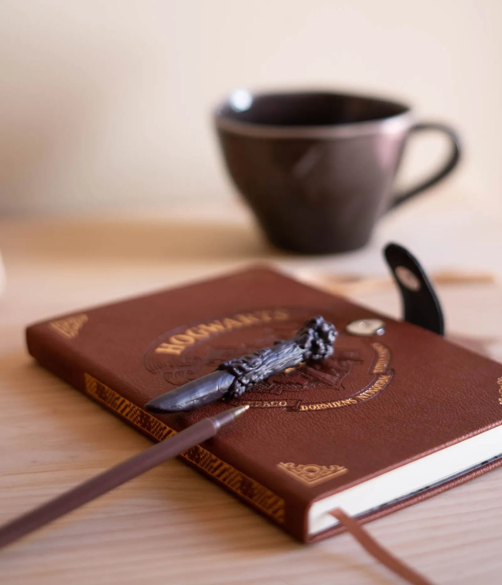 Harry Potter Caderno A5 com Caneta Varinha -