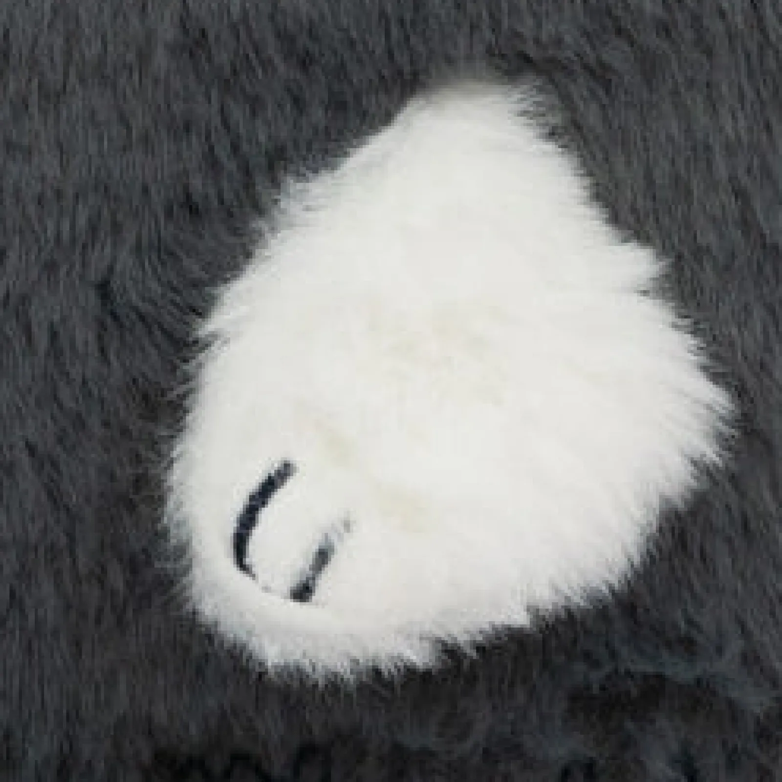 Best Mr. Wonderful Caderno A5 Peluche - Gato