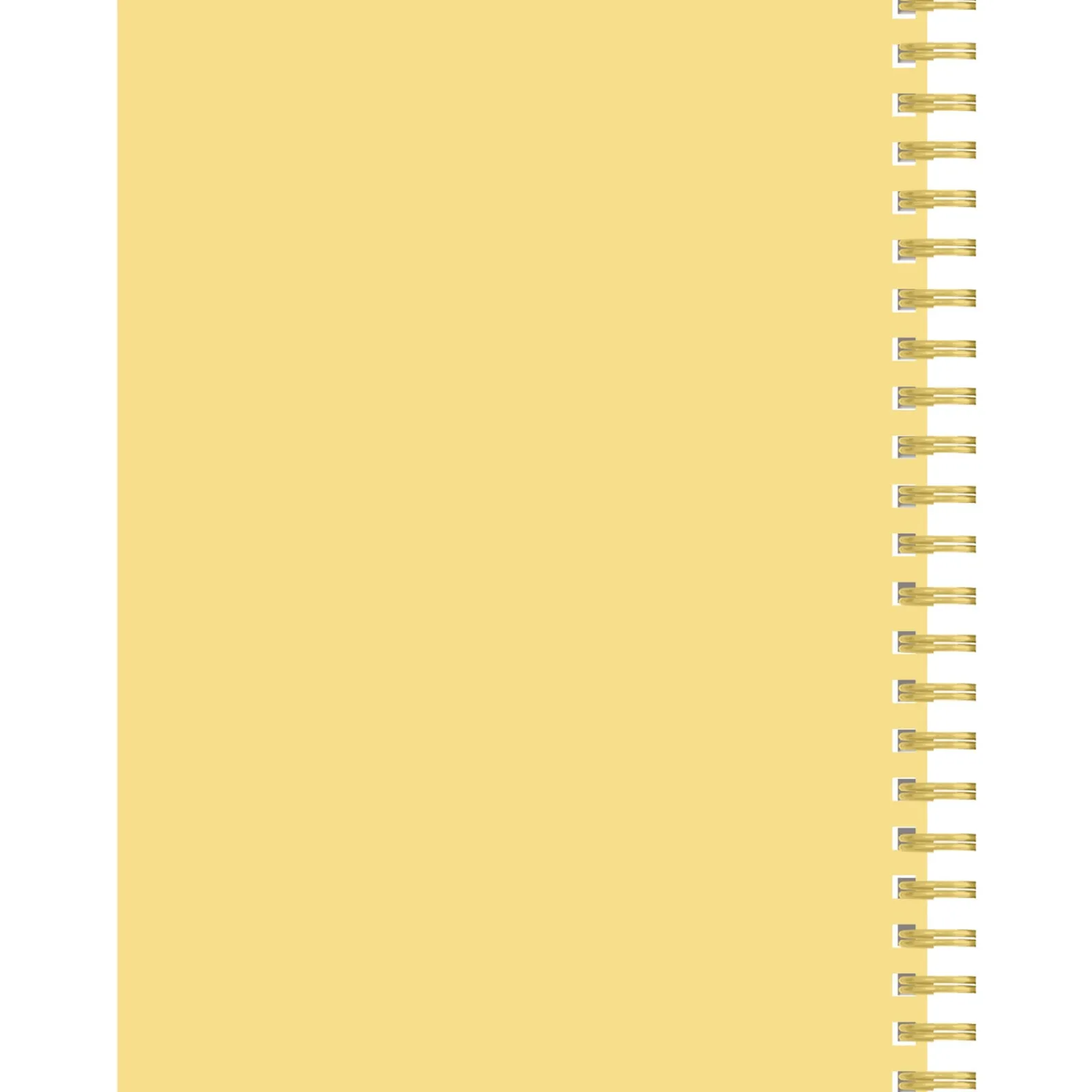 Outlet Note! Caderno Espiral A4 80 Folhas 70G Pautado Pins