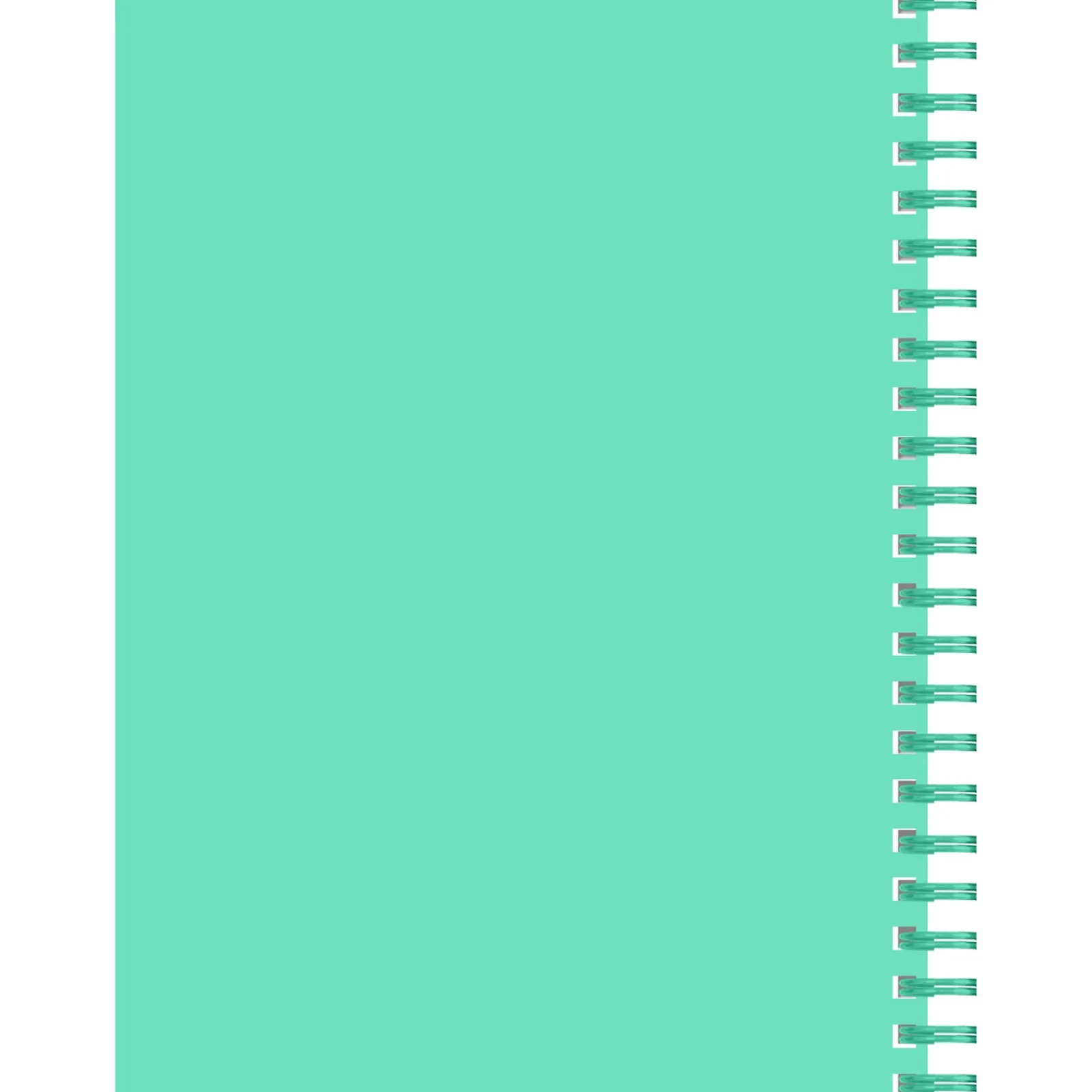 Outlet Note! Caderno Espiral A4 80 Folhas 70G Pautado Pins