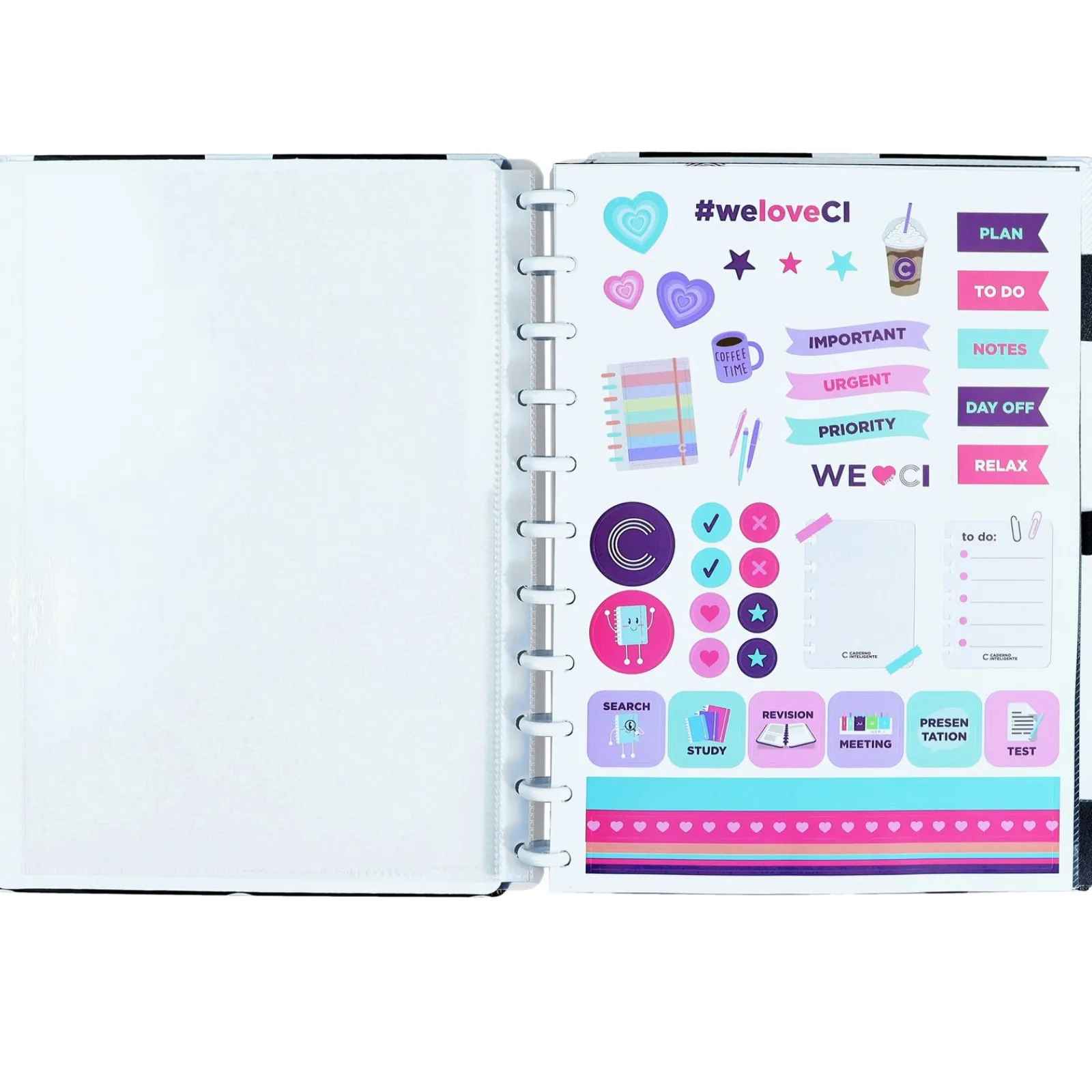 Caderno Inteligente Grande Poá Vicky