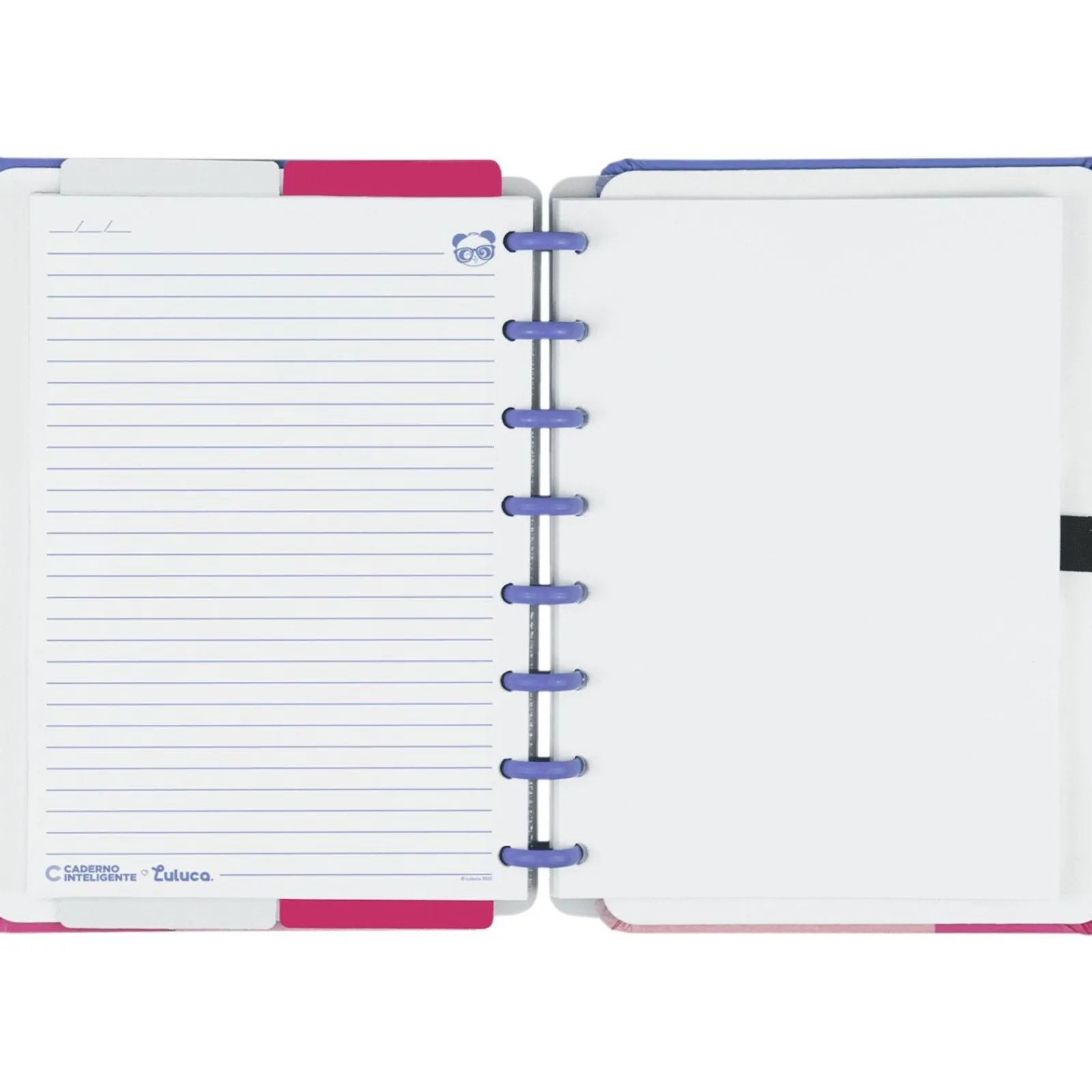 Online Caderno Inteligente Grande Pandalu by Luluca