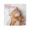 Legami Calendário 2025 30X29 - Kittens