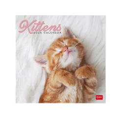 Legami Calendário 2025 30X29 - Kittens