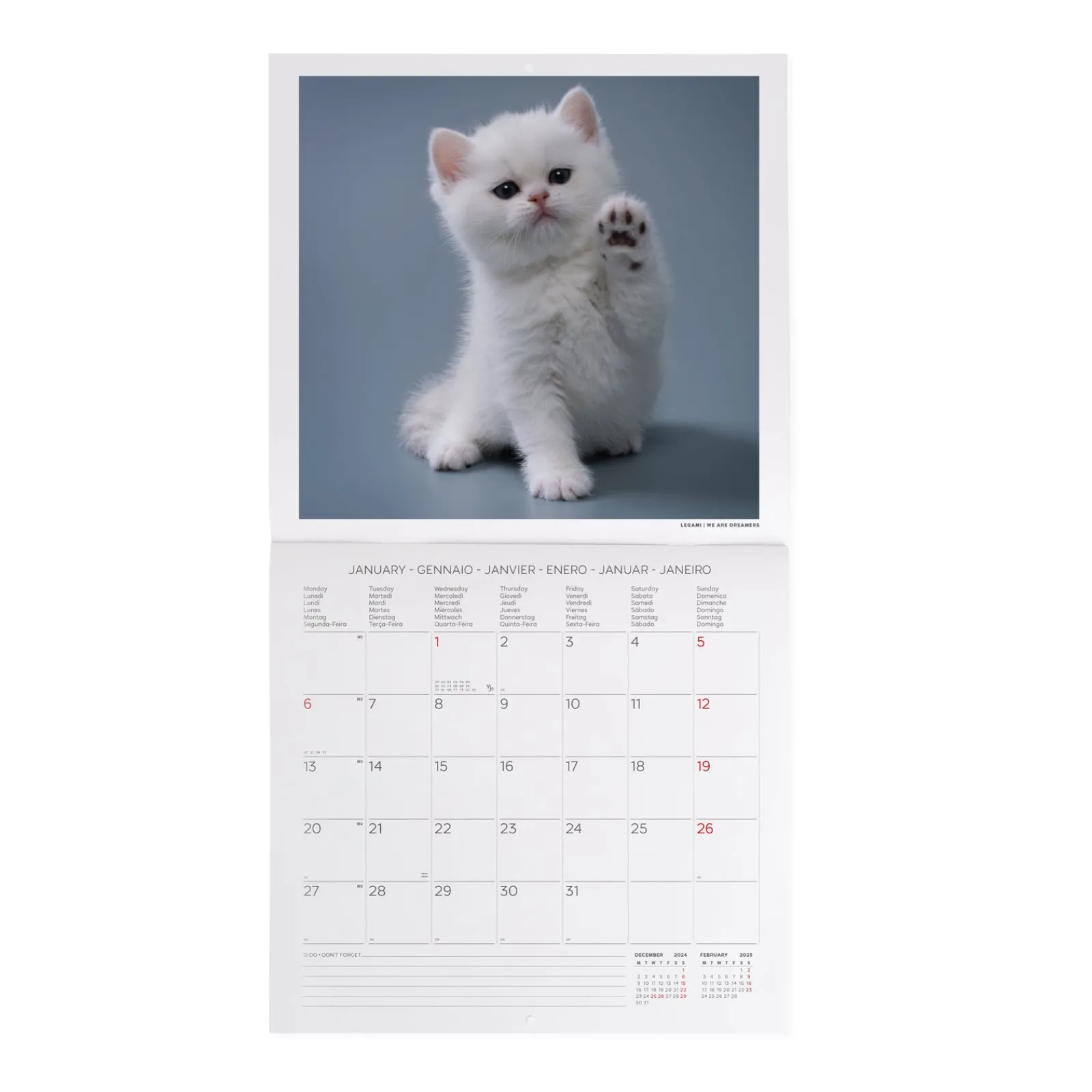 Legami Calendário 2025 30X29 - Kittens