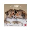 Best Legami Calendário 2025 30X29 - Puppies