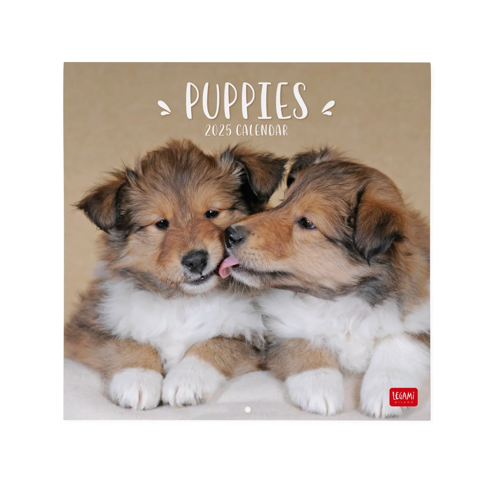 Best Legami Calendário 2025 30X29 - Puppies