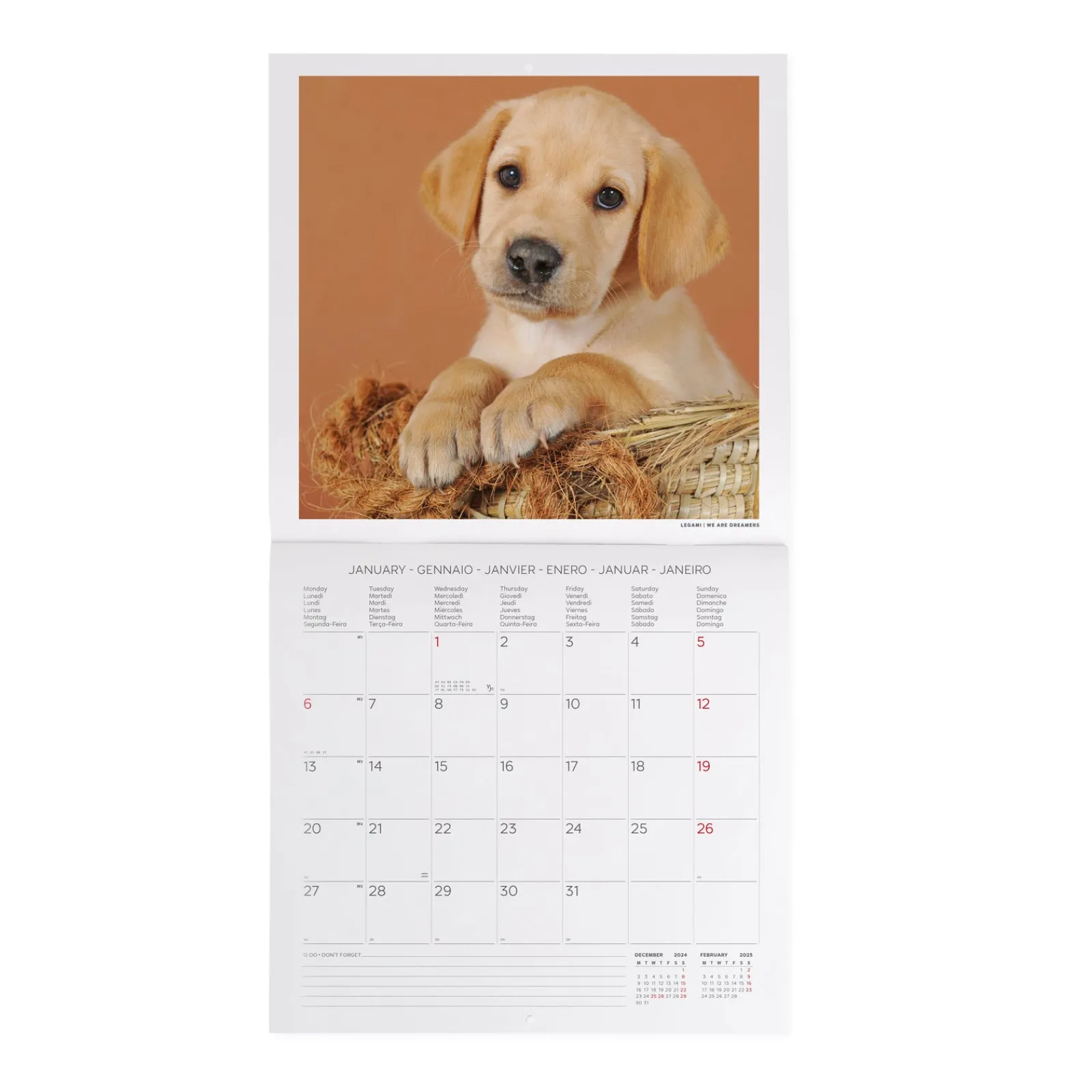 Best Legami Calendário 2025 30X29 - Puppies