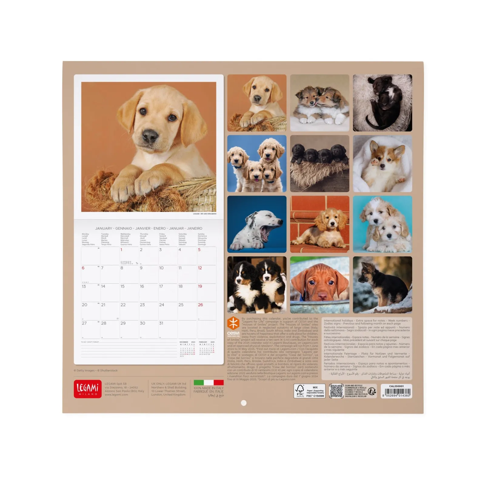 Best Legami Calendário 2025 30X29 - Puppies