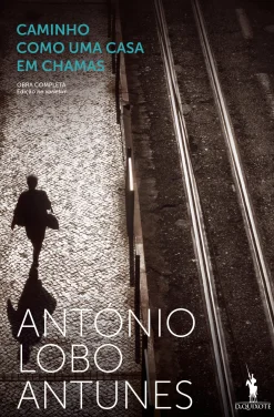 Dom Quixote Caminho Como uma Casa em Chamas de António Lobo Antunes