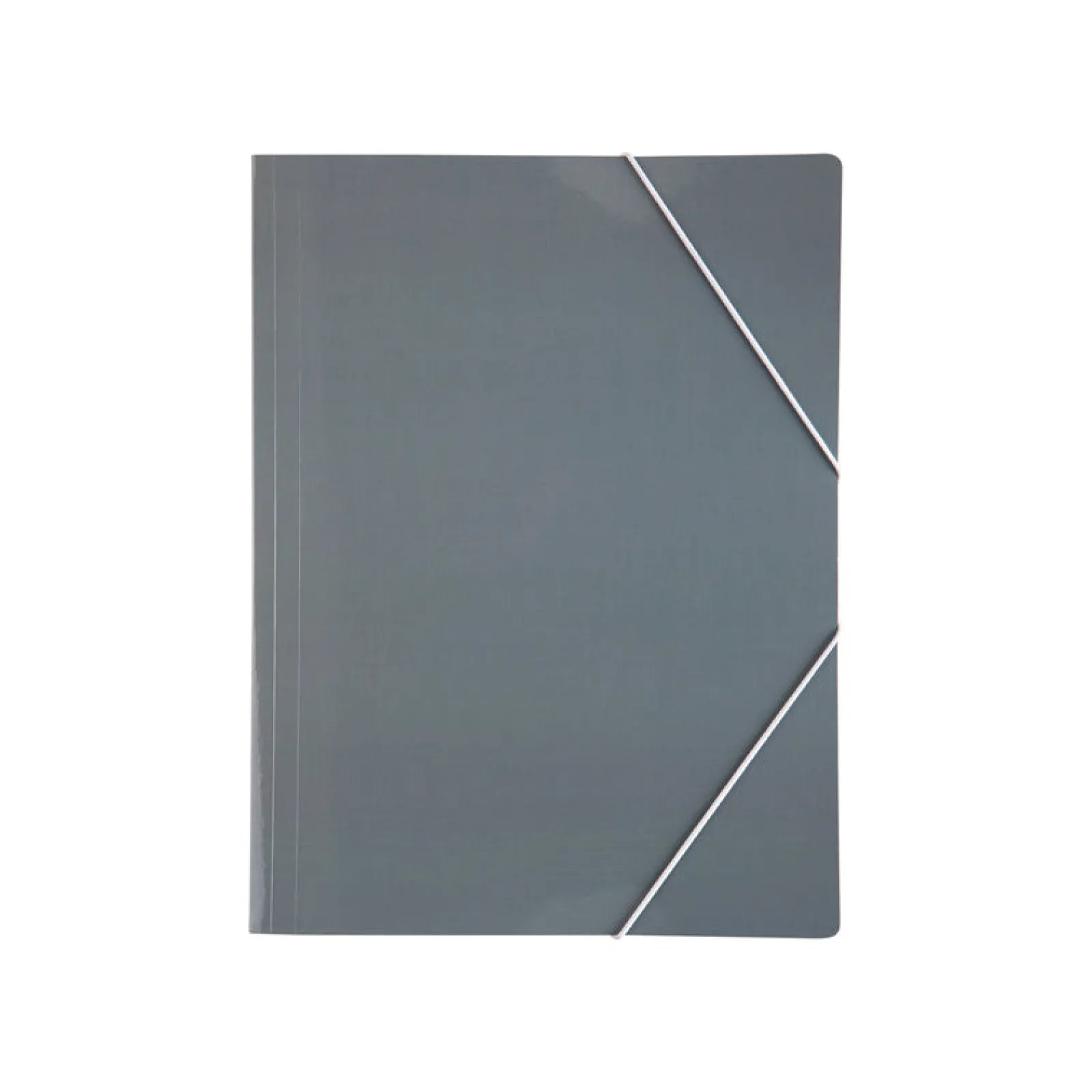 Note! Capa A4 com Elástico (artigo sortido)