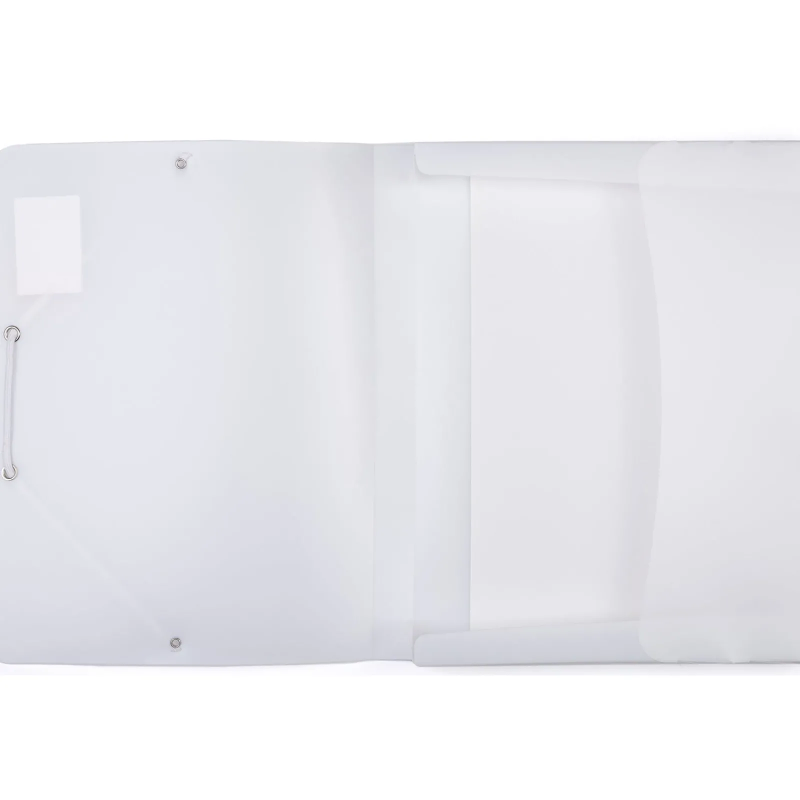 Note! Capa com Elástico A4 Néon (artigo sortido)