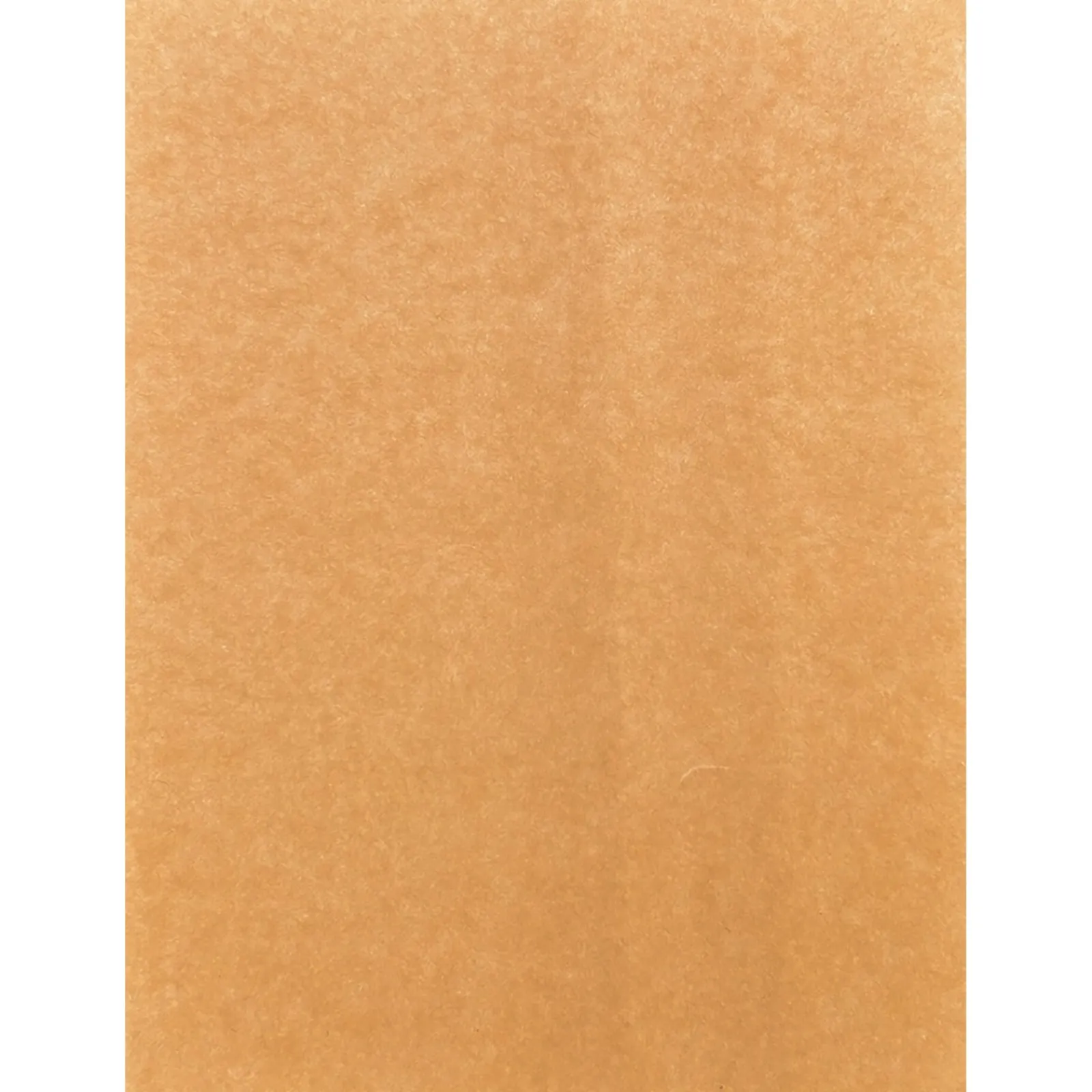 Best Paperpoint Cartolina 50X70Cm 180G Kraft