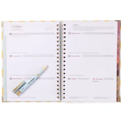 Mr Wonderfull Conjunto Agenda 25-26 + Caneta - No Stress