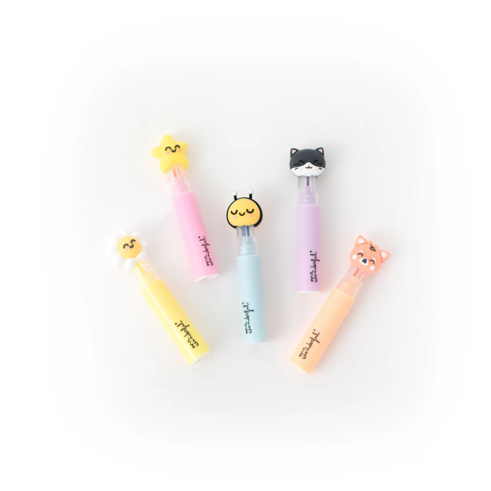 Mr Wonderfull Conjunto Estojo + 5 Sublinhadores - Colour