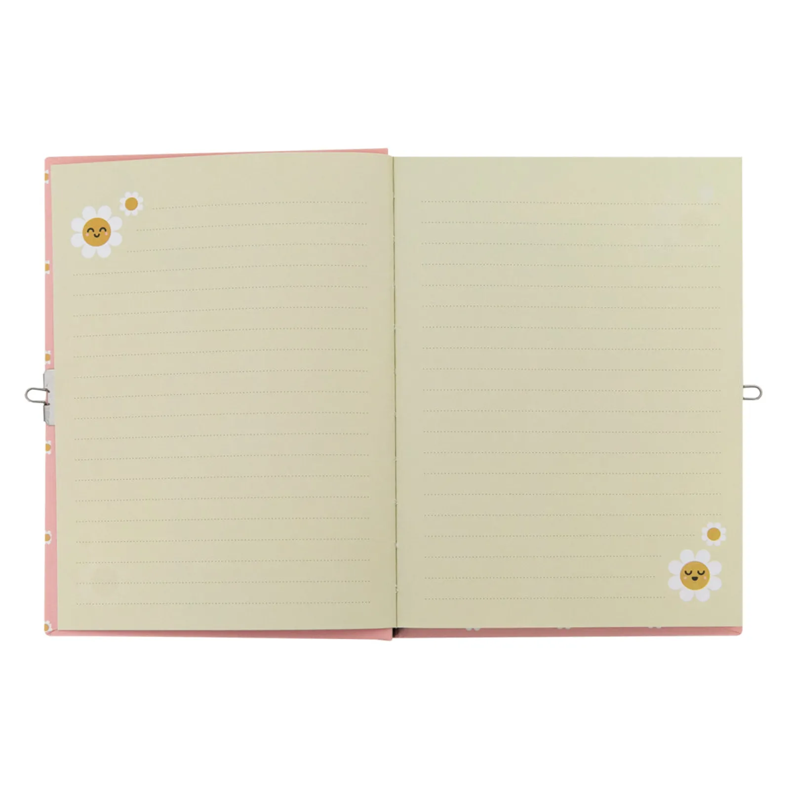 Mr. Wonderful Diário - Relatos E Segredos