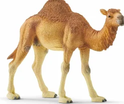 Schleich Dromedário