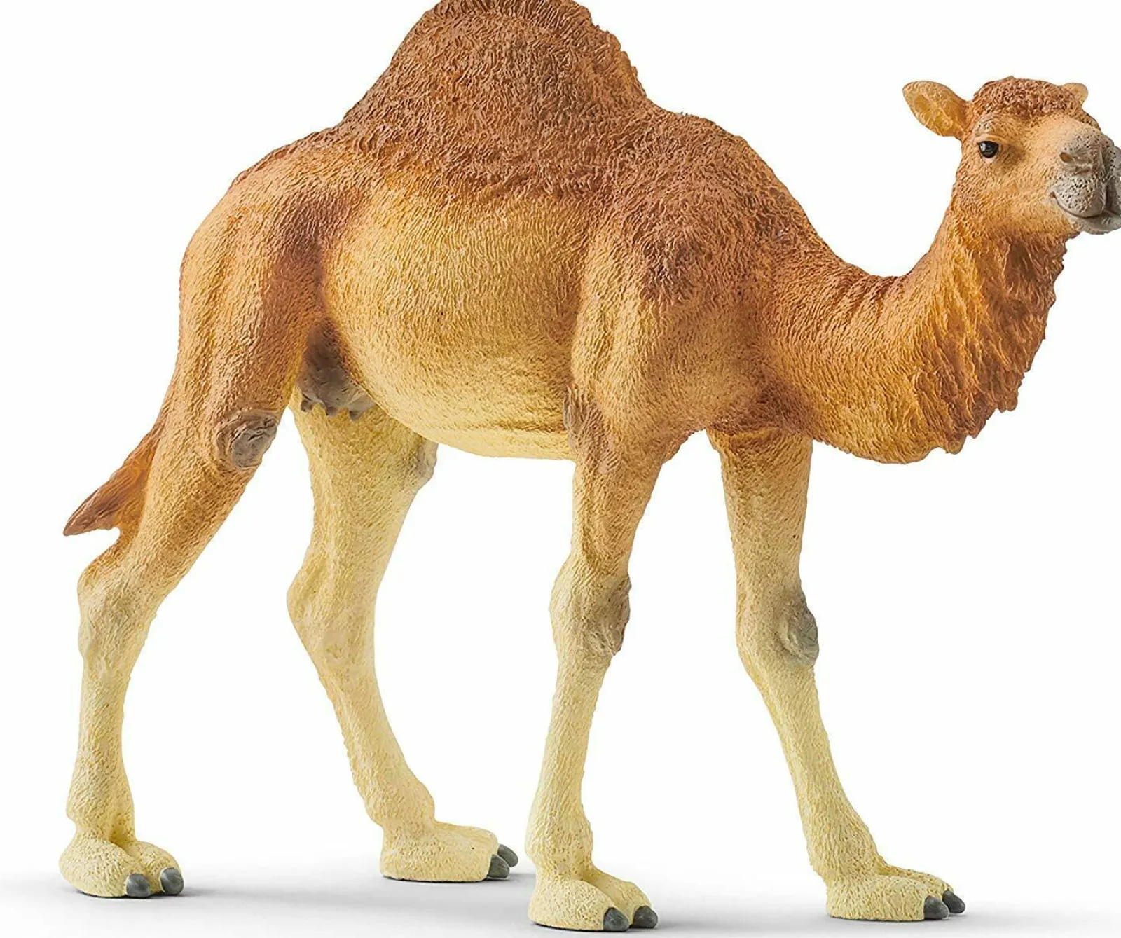 Schleich Dromedário